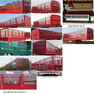 Zhongzhi Huaxing brand automobiles JLQ9407CCY Gantry transport semi-trailer