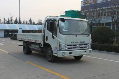 Foton BJ1043V8JCAAGTruck