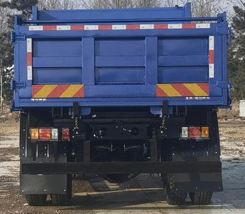 Foton  BJ3164DKPFA01 Dump truck