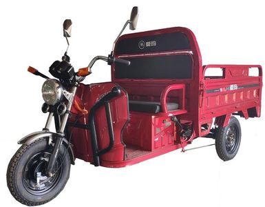 Emma  AM1000DZH2C Electric tricycle