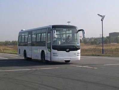 Huanghai  DD6129K60 coach