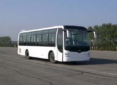 Huanghai  DD6129K60 coach