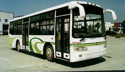 Anyuan PK6112CDBus