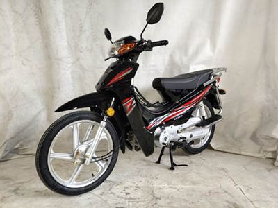 Dajiang  DJ1103A Two wheeled motorcycles