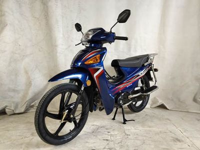 Dajiang  DJ1103A Two wheeled motorcycles