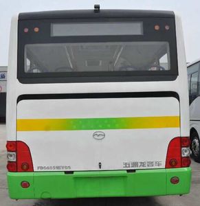 Wuzhoulong  FDG6851EVG5 Pure electric city buses