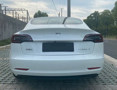 Tesla TSL7000BEVAR4 Pure electric sedan