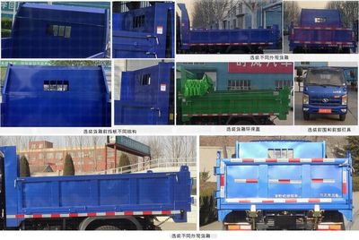 Shifeng  SSF3046DDP43SX Dump truck