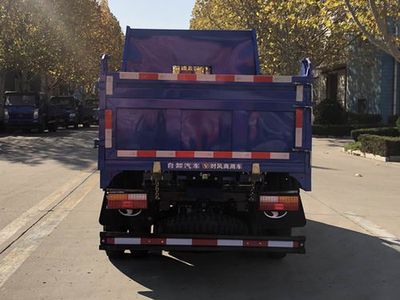 Shifeng  SSF3046DDP43SX Dump truck