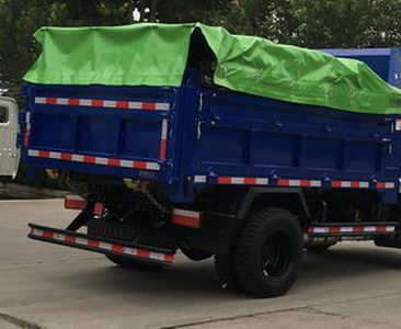 Shifeng  SSF3070DGJ51 Dump truck