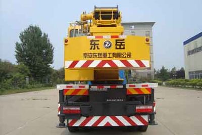 Dongyue  TA5190JQZ12 Car crane