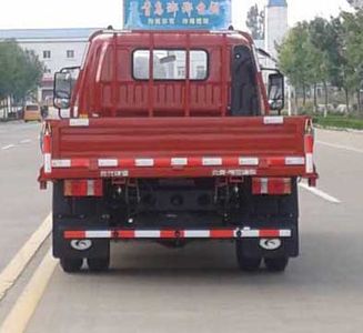 Foton  BJ3043D9JBAFA Dump truck