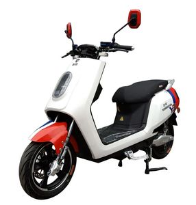 Tailing  TL1000DQT15A Electric two wheeled light motorcycle