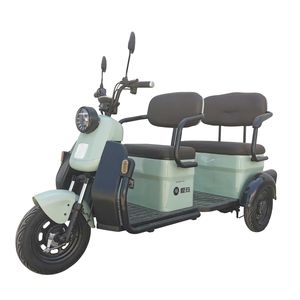 Emma  AM1000DZK18N Electric tricycle