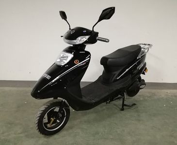 Trevi LionTS800DQT11Electric two wheeled light motorcycle