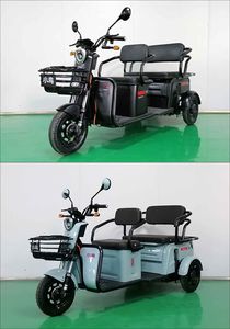 Little Bird XN1500DZK2K Electric tricycle