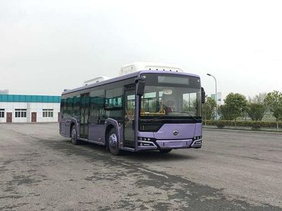 Hengtong Bus CKZ6116HNHEVY5 Plug in hybrid urban buses