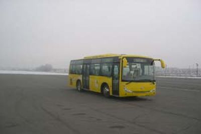 Huanghai  DD6891S09 City buses