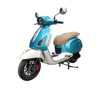 Feiya  FY150T5 Two wheeled motorcycles