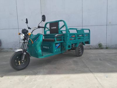 Da An Ronaldo DA1500DZH11 Electric tricycle