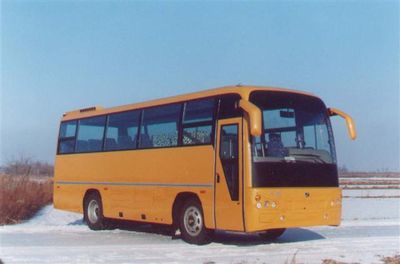 Dejinma STL6860R coach