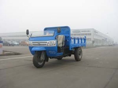 Five star  7Y1475D3B Self dumping tricycle