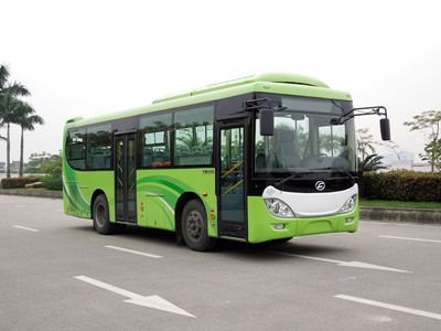 Feichi FSQ6852JNGCity buses