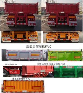 Liangshan Dongyue  CSQ9406ZZX tipping chassis 