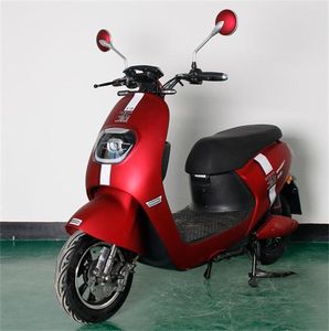 Wangpai  WP600DQT2 Electric two wheeled light motorcycle