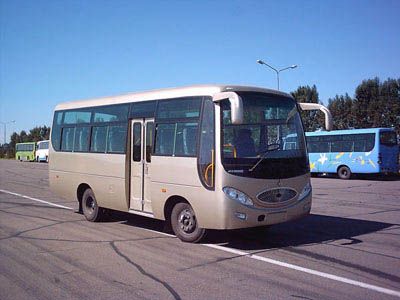 Strength  JCC6660E coach