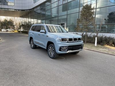 Beijing brand automobiles BJ2030V62MBSG off-road passenger car 