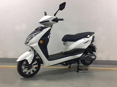 Five Star Diamond Leopard ZB800DQT25 Electric two wheeled light motorcycle