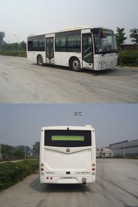 Foton  BJ6931C6MCB City buses