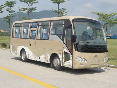 Jinlong  XMQ6771AYD4C coach