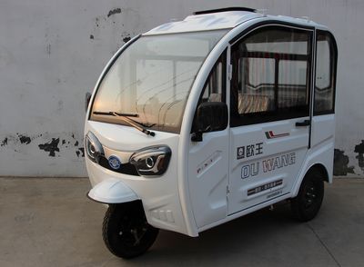 Ouwang  OW1200DZKC Electric tricycle