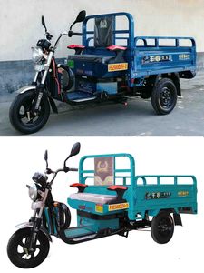 Fengshou  FS2500DZH3 Electric tricycle