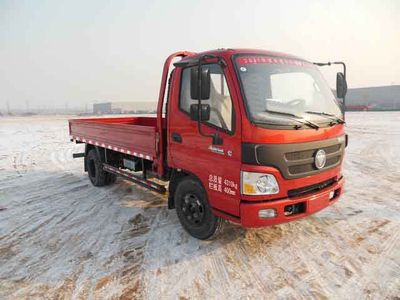 Foton  BJ1049V9JD6F2 Truck