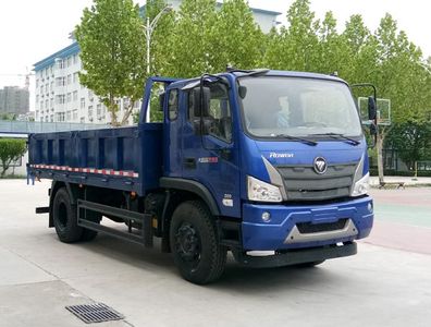 Foton  BJ3184DLPFD03 Dump truck