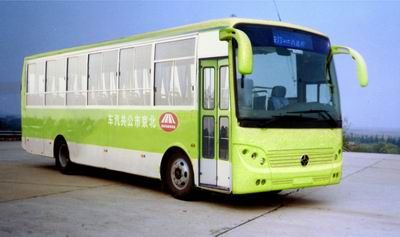 Yaxing  YBL6986 coach