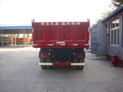 Hongchang Tianma  SMG3310CAN46H8D3 Dump truck