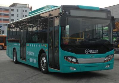 Wuzhoulong FDG6103EVG1Pure electric city buses