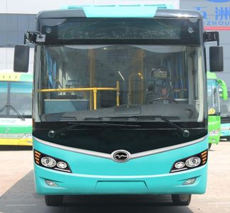 Wuzhoulong  FDG6103EVG1 Pure electric city buses