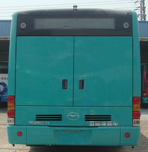 Wuzhoulong  FDG6103EVG1 Pure electric city buses