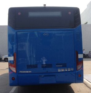 Wuzhoulong  FDG6103EVG1 Pure electric city buses