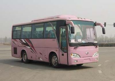 Shenlong brand automobileSLK6790F1A3coach