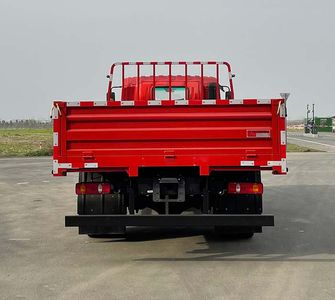 Dayun  DYQ1121D6AB Truck