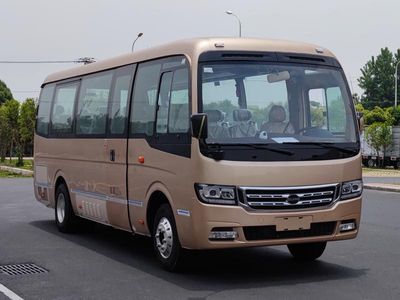 Zilang  NTT6750TEV1N Pure electric passenger cars