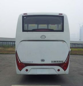 Wuzhoulong  WZL6820A41 coach