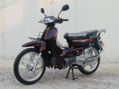 Jincheng  JC1006V Two wheeled motorcycles