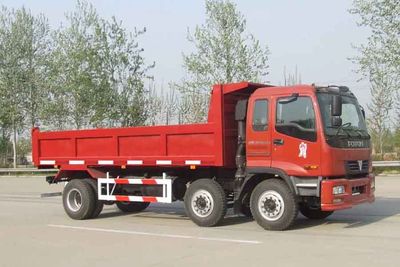 Ouman  BJ3188DKPJB1 Dump truck